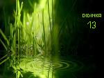 Didinka13